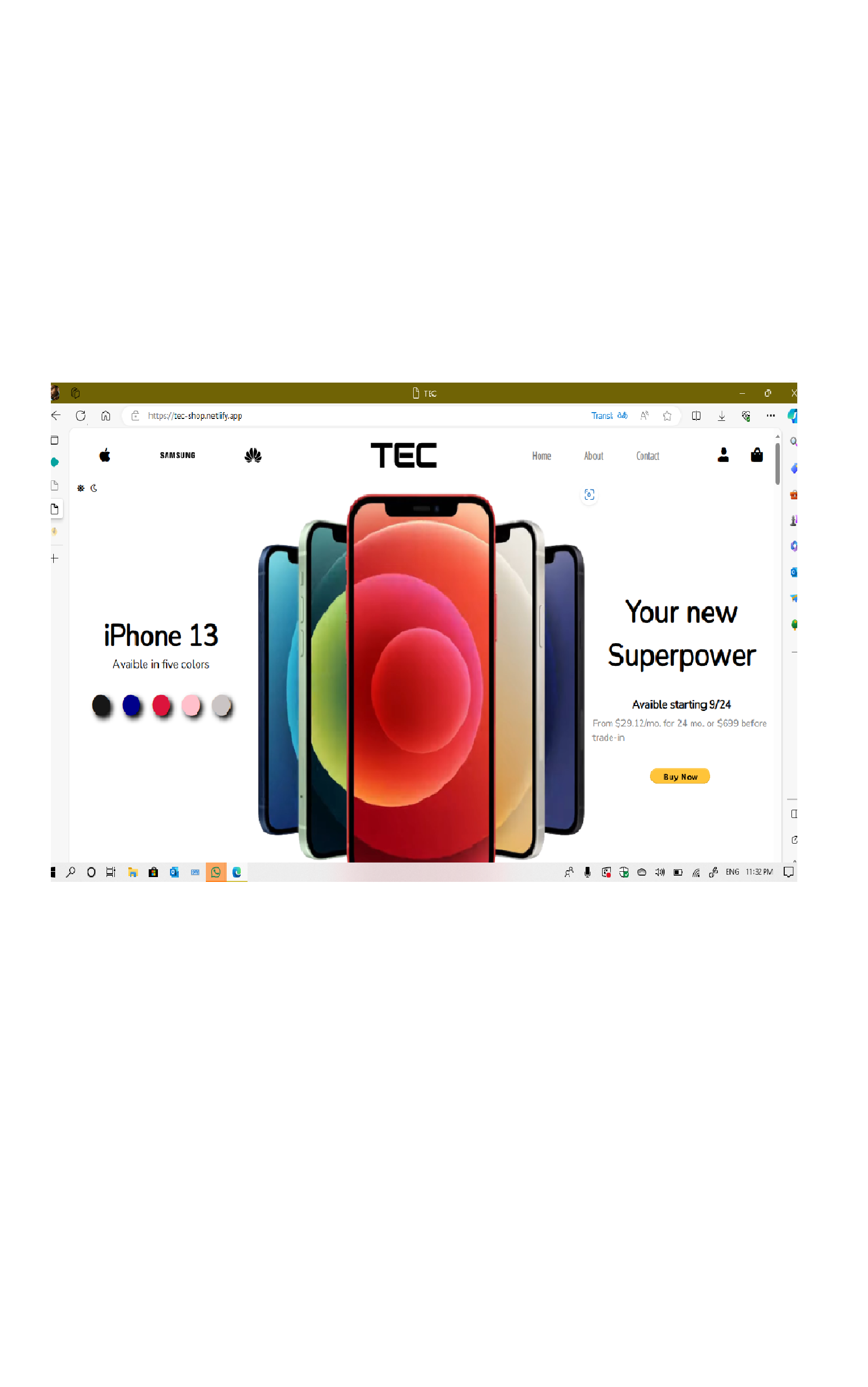 Portfolio - Tec Shop website